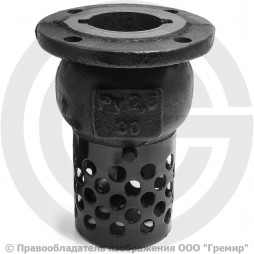 Клапан обратный осевой приемный с сеткой чугунный фланцевый Ду-50 Ру-2,5 (Т<50°С) 16ч42р Луидор