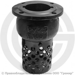 Клапан обратный осевой приемный с сеткой чугунный фланцевый Ду-100 Ру-2,5 (Т<50°С) 16ч42р Луидор