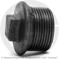 Заглушка чугунная НР (НАР) Ду 20 (3/4") Заглушка чугунная НР (НАР) Ду 20 (3/4")