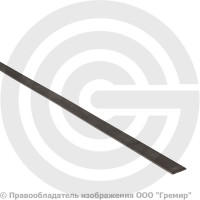 Полоса 50х5 стальная г/к ГОСТ 103-76 Россия Полоса 50х5 стальная г/к ГОСТ 103-76 Россия