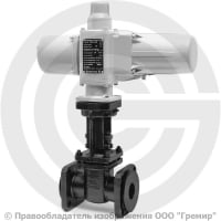 Задвижка чугунная фланцевая Ду-50 Ру-10/16 (Т<225°С) 30ч906бр с электроприводом ГЗ-А.70/24 (380 В) Задвижка чугунная фланцевая Ду-50 Ру-10/16 (Т<225°С) 30ч906бр с электроприводом ГЗ-А.70/24 (380 В)