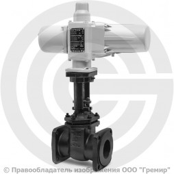 Задвижка чугунная фланцевая Ду-80 Ру-10/16 (Т<225°С) 30ч906бр с электроприводом ГЗ-А.70/24 (380 В)