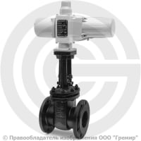 Задвижка чугунная фланцевая Ду-100 Ру-10/16 (Т<225°С) 30ч906бр с эл.приводом ГЗ-А.70/24 (380 В) Задвижка чугунная фланцевая Ду-100 Ру-10/16 (Т<225°С) 30ч906бр с эл.приводом ГЗ-А.70/24 (380 В)