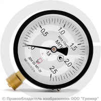 Манометр радиальный диаметр 100мм 0-25 кгс/см2 (0-2,5 МПа) М20х1,5 ДМ05-МП-3У Стеклоприбор Манометр радиальный диаметр 100мм 0-25 кгс/см2 (0-2,5 МПа) М20х1,5 ДМ05-МП-3У Стеклоприбор