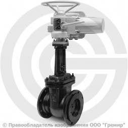 Задвижка чугунная фланцевая Ду-150 Ру-10/16 (Т<225°С) 30ч906бр с электроприводом ГЗ-А.100/24 (380 В)