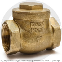 Клапан обратный поворотный латунный Ду-65 (2 1/2") Ру-16 ВР (ВН) (Т<110°С) латунь N6 Giacomini Клапан обратный поворотный латунный Ду-65 (2 1/2") Ру-16 ВР (ВН) (Т<110°С) латунь N6 Giacomini