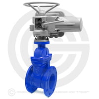 Задвижка чугунная фланцевая Ду-250 Ру-10 (Т<150°С) 30ч939р с электроприводом (380 В)