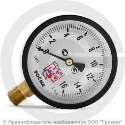 Манометр радиальный диаметр 100мм 0-25 кгс/см2 (0-2,5 МПа) G1/2" ТМ-510Р.00 Росма