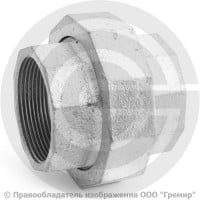 Американка прямая чугунная оцинкованная ВР (ВН) Ду 50 (2")