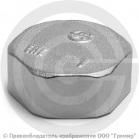 Заглушка латунная ВР (ВН) Ду-20 (3/4") никель Aquasfera