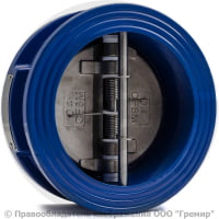 Клапан обратный двухстворчатый чугунный межфланцевый Ду-250 Ру-16 (Т<120°С) ств нерж Benarmo