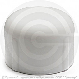 Заглушка (пробка) PP-R белая внутренняя пайка Дн 25 RTP (РосТурПласт)