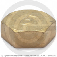 Заглушка латунная ВР (ВН) Ду-20 (3/4") LD