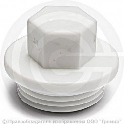 Заглушка (пробка) PP-R белая НР (НАР) Дн 32-1" RTP (РосТурПласт)