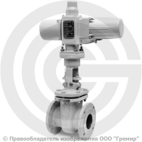 Задвижка стальная фланцевая Ду-80 Ру-16 (Т<425°С) 30с941нж с электроприводом ГЗ-А.70/24 (380 В) Задвижка стальная фланцевая Ду-80 Ру-16 (Т<425°С) 30с941нж с электроприводом ГЗ-А.70/24 (380 В)