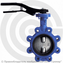 Затвор дисковый поворотный межфланцевый Ду-125 Ру-16 двойной шток с нержавеющим диском Giacomini R59FL